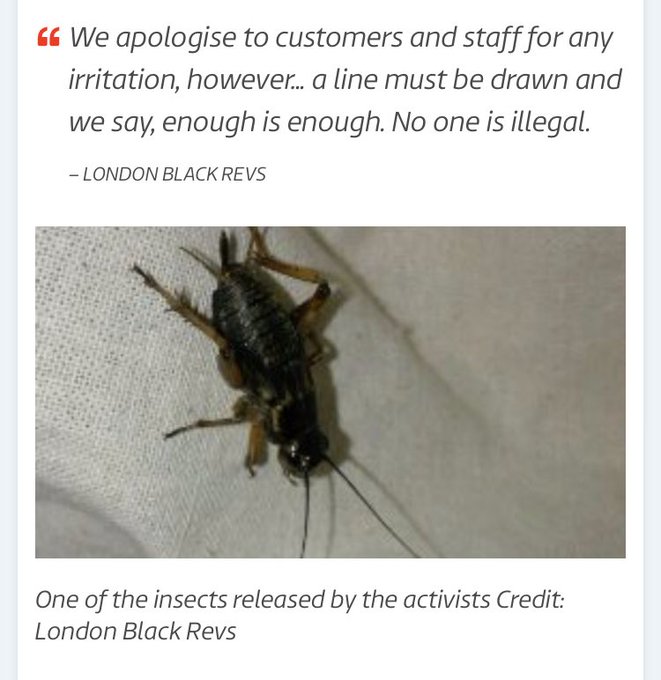 Посмотреть изображение в Твиттере Посмотреть изображение в Твиттере