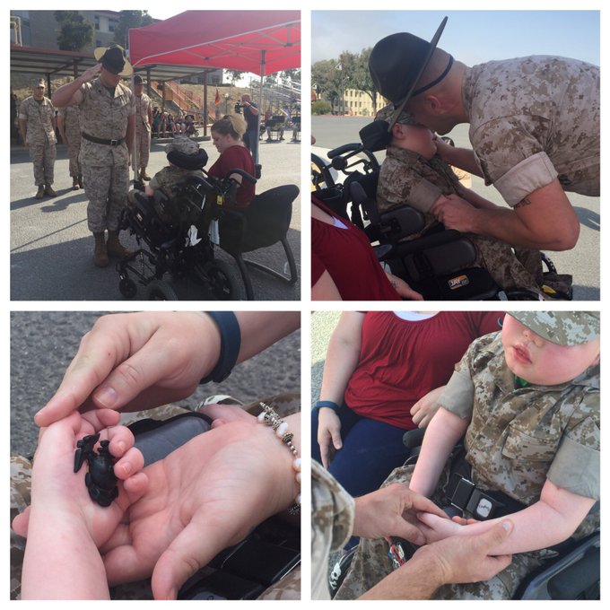 Bild auf Twitter anzeigen Bild auf Twitter anzeigen