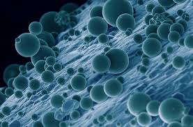 Polymernanocomp's tweet photo. https://t.co/Vnpd5SrjRH