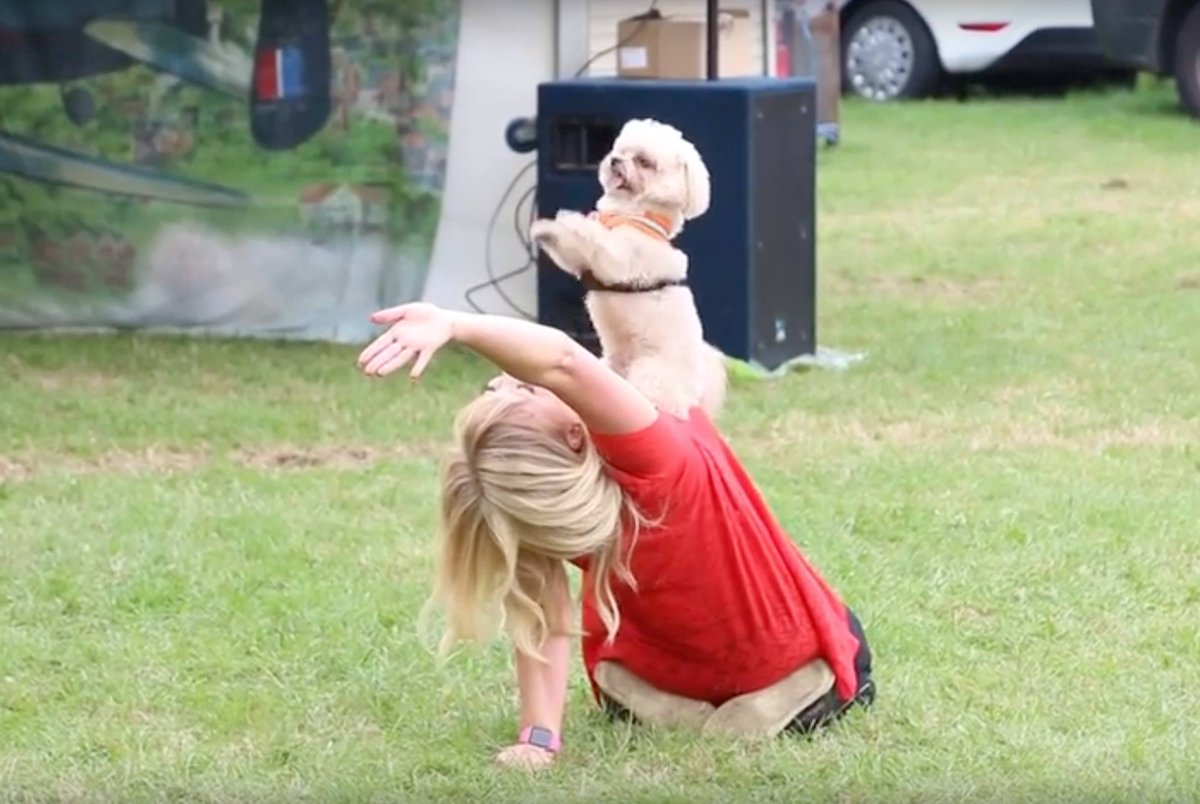 Video: Thousands flock to enjoy <a href="/HeckingtonShow/">Heckington Show</a> (and the cute @triphazardbgt) lincolnshirereporter.co.uk/?p=171742