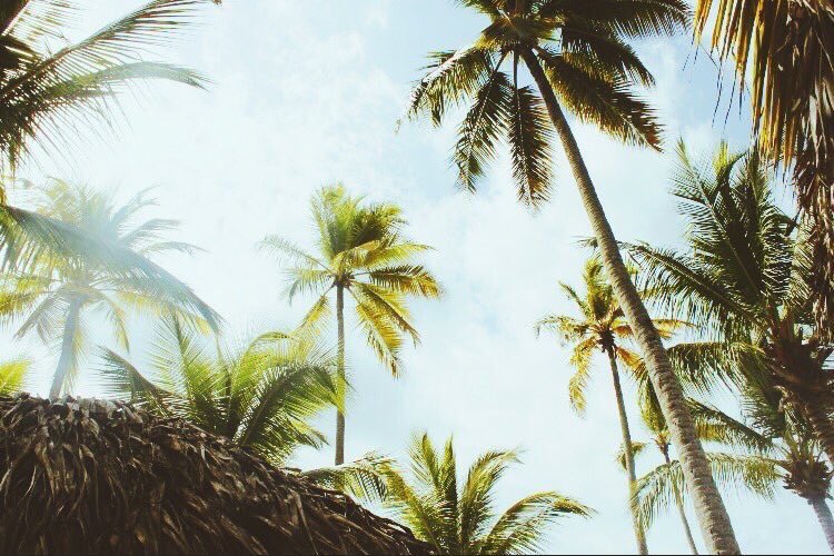 TikTonks's tweet image. Dominican Republic is beautiful 😍