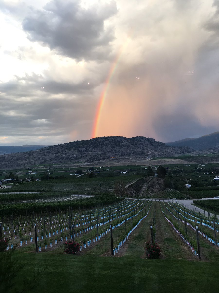 StricklandCathy's tweet photo. Happy 13th anniversary @Road13Vineyards! Thank you for a memorable night of friendship, wine, food &amp; cake! @BYFchef https://t.co/KL8a3lqAdD