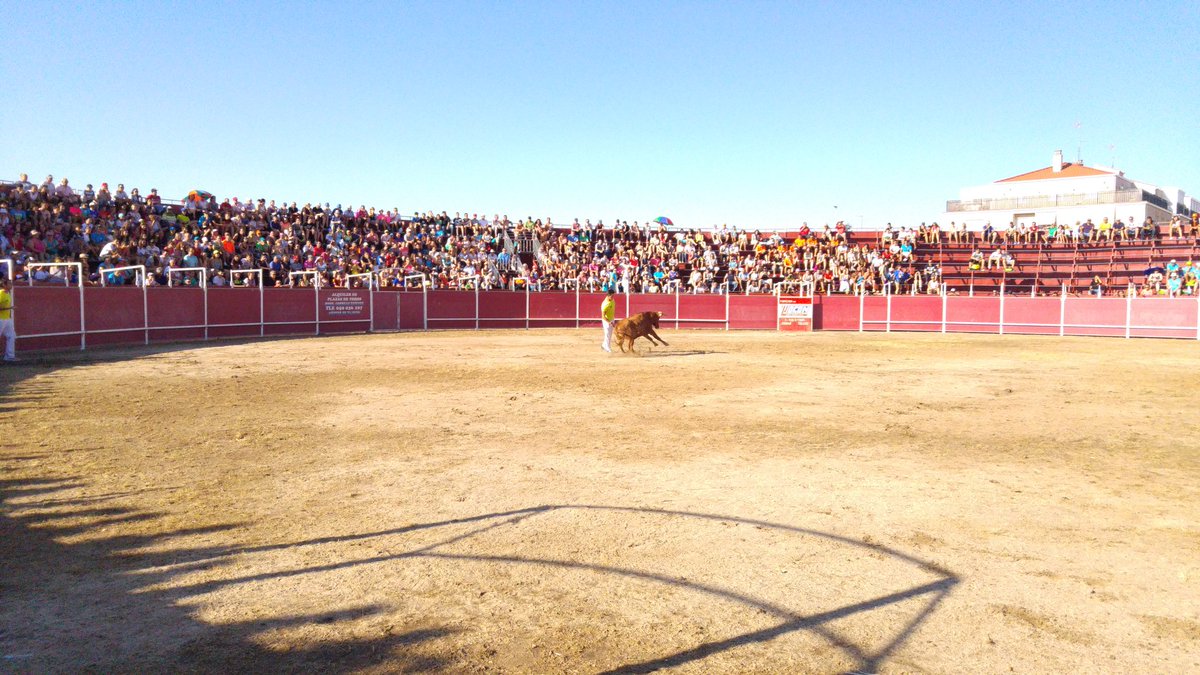 DavidMingoPP's tweet photo. Disfrutando con el concurso de recortes de las fiestas de #SantaMarta16 https://t.co/C1aaROsqFY