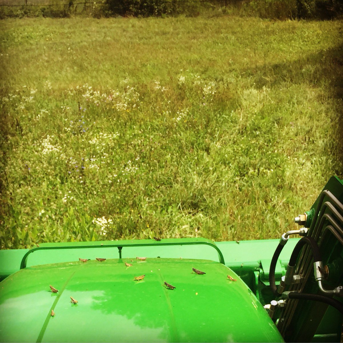 Krys_Michelle's tweet image. Buncha Free Loaders, diesel ain&apos;t cheap #conservationproblems