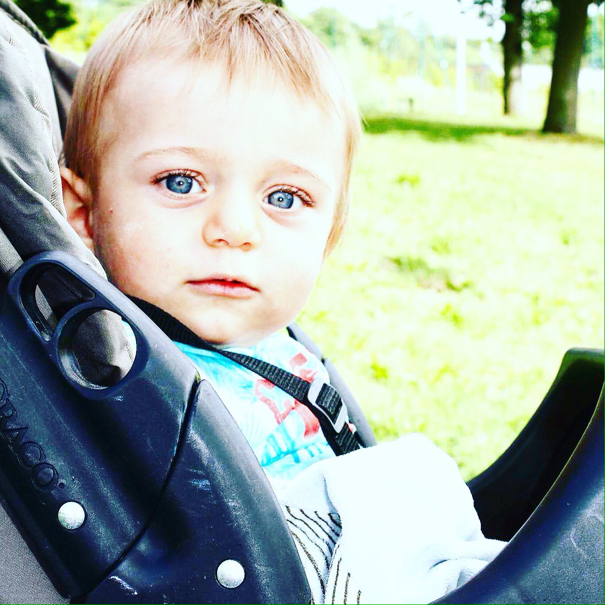 hetch52's tweet image. 