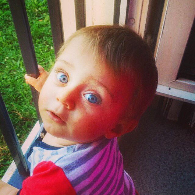 hetch52's tweet image. 