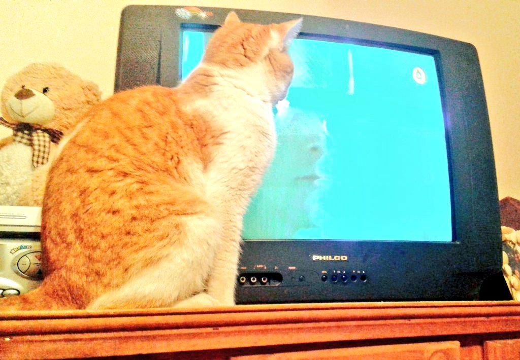 Cuando tu mama te dice que te alejes de la tele 👀