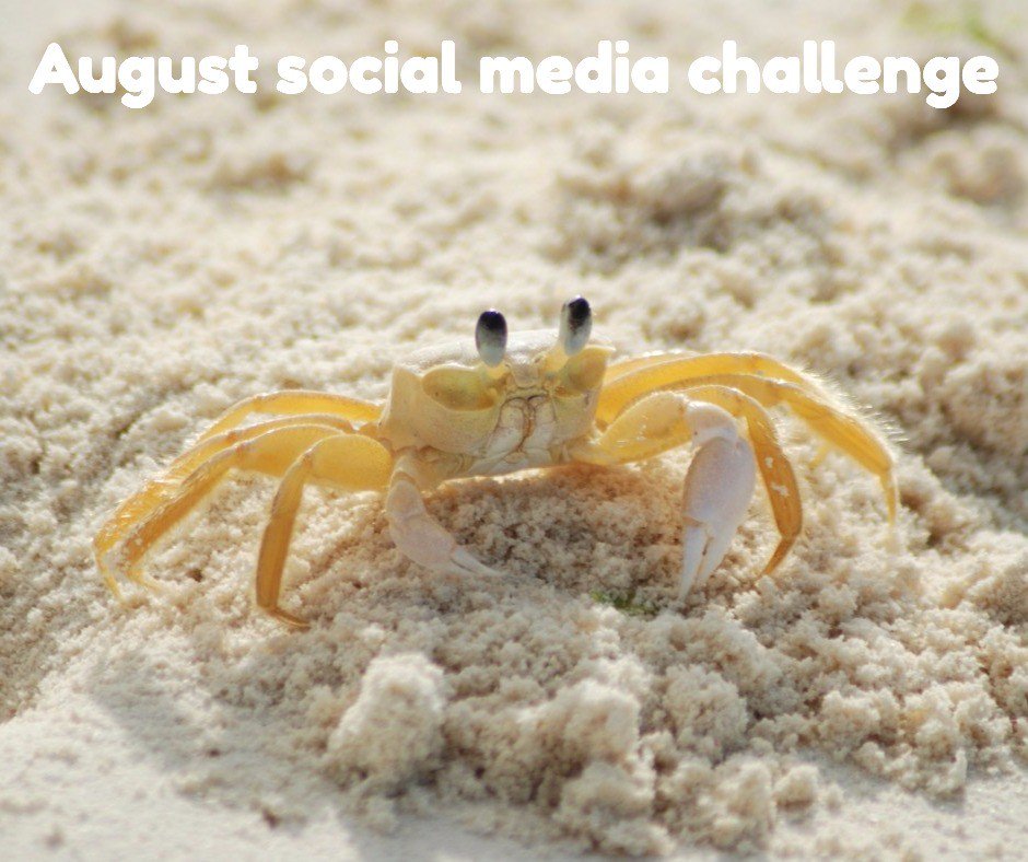 katepullen's tweet photo. Up for a 30 day brand boosting social media challenge?  - https://t.co/KTyJjbftkN #etsy #etsyseller #etsystore https://t.co/DL5FxLeQMh