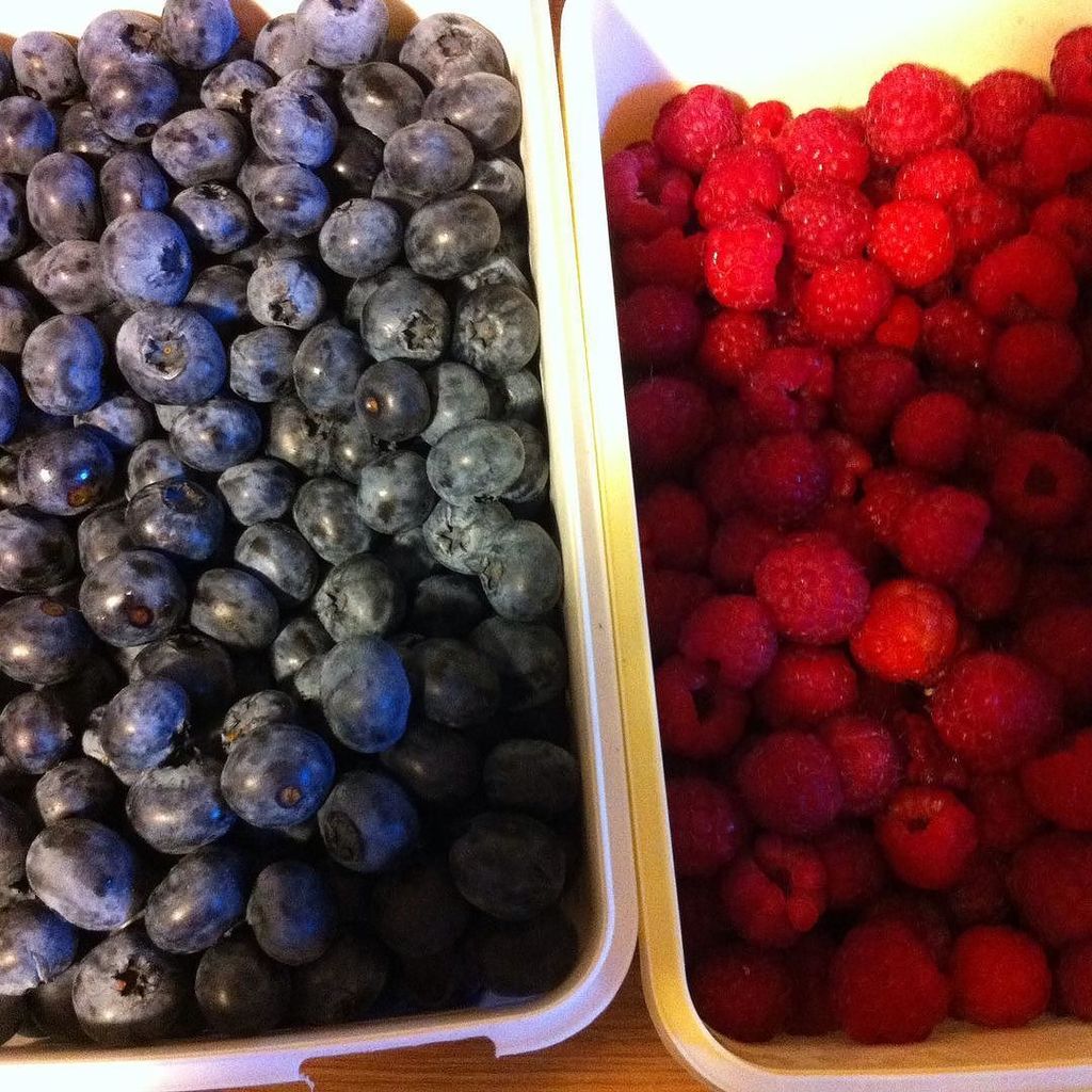 _rappy's tweet photo. "Show me your tongue." "😛." "Ok, you're paying." #blueberries #raspberries #selfpick https://t.co/xuJW9FBfTo https://t.co/YN2hhOca8K