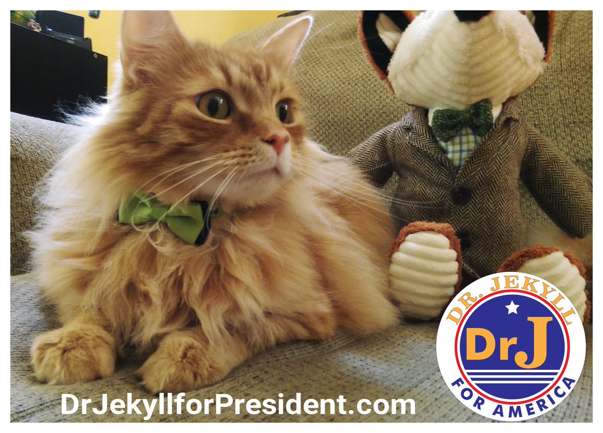 drj4prez's tweet photo. Now RNC &amp; DNC conventions are over,it's time for the only nomination that matters: MINE! Stay tuned! #bowtiesarecool https://t.co/78VLqeYUJc