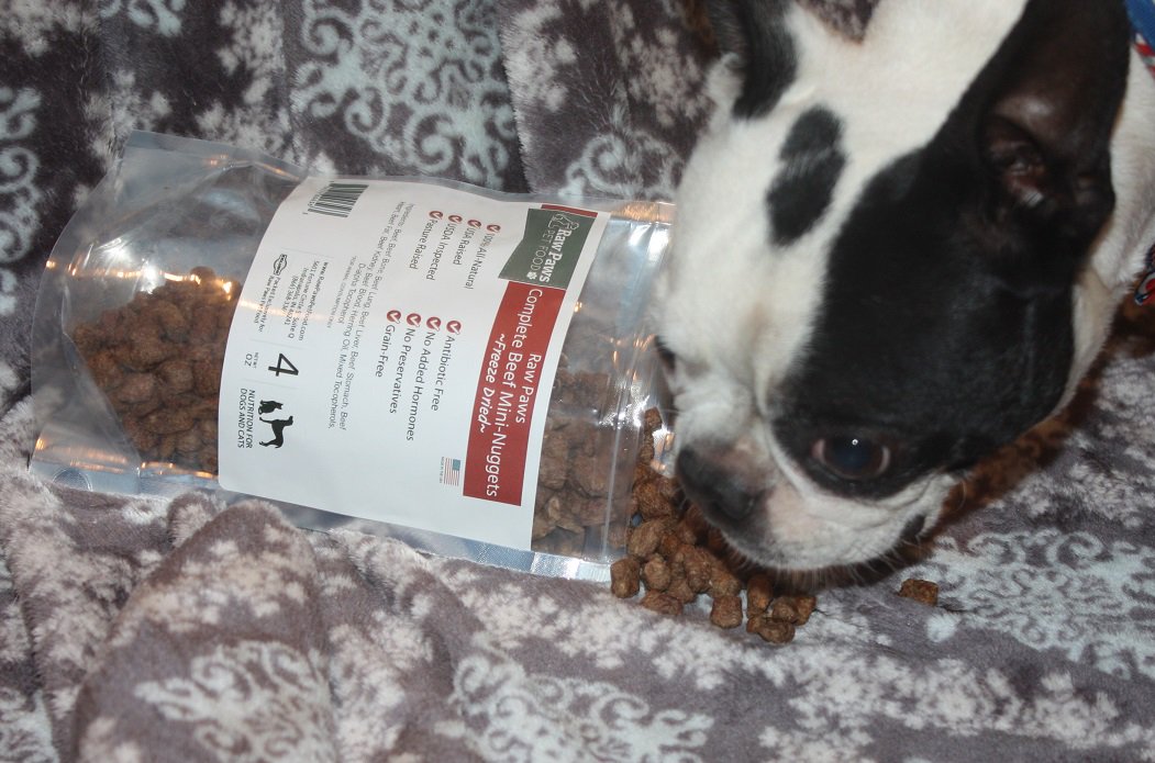 SN_Dogs's tweet photo. So many choices! How do you pick the right food for your furry best friend! https://t.co/e4QEQOLht0 https://t.co/ofbUbkpJPF