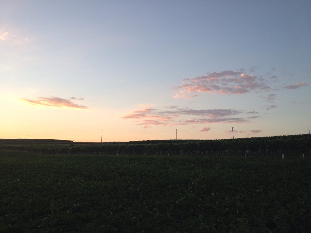 pc_ass's tweet photo. Der Himmel meints heute ganz besonders gut mit uns \o/.
#Fotoassistent #sunset #nofilter https://t.co/wf8Vdp6iys
