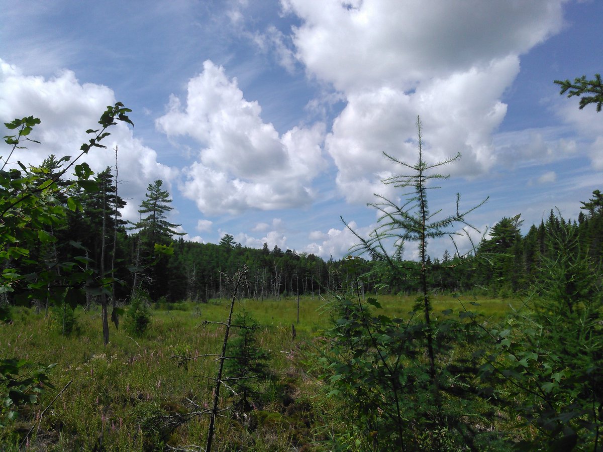 WMOMedia's tweet photo. One of the views at work #MaineLife #GoodOutdoorJobs #NatureChaser https://t.co/tQp32Wq1sg
