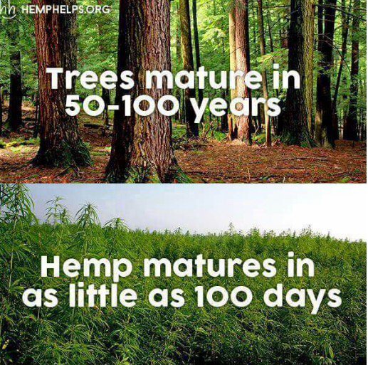 ndkaksbshaopzj1's tweet photo. #hemp #OpSystemSolutions https://t.co/qOTgnqNqJN