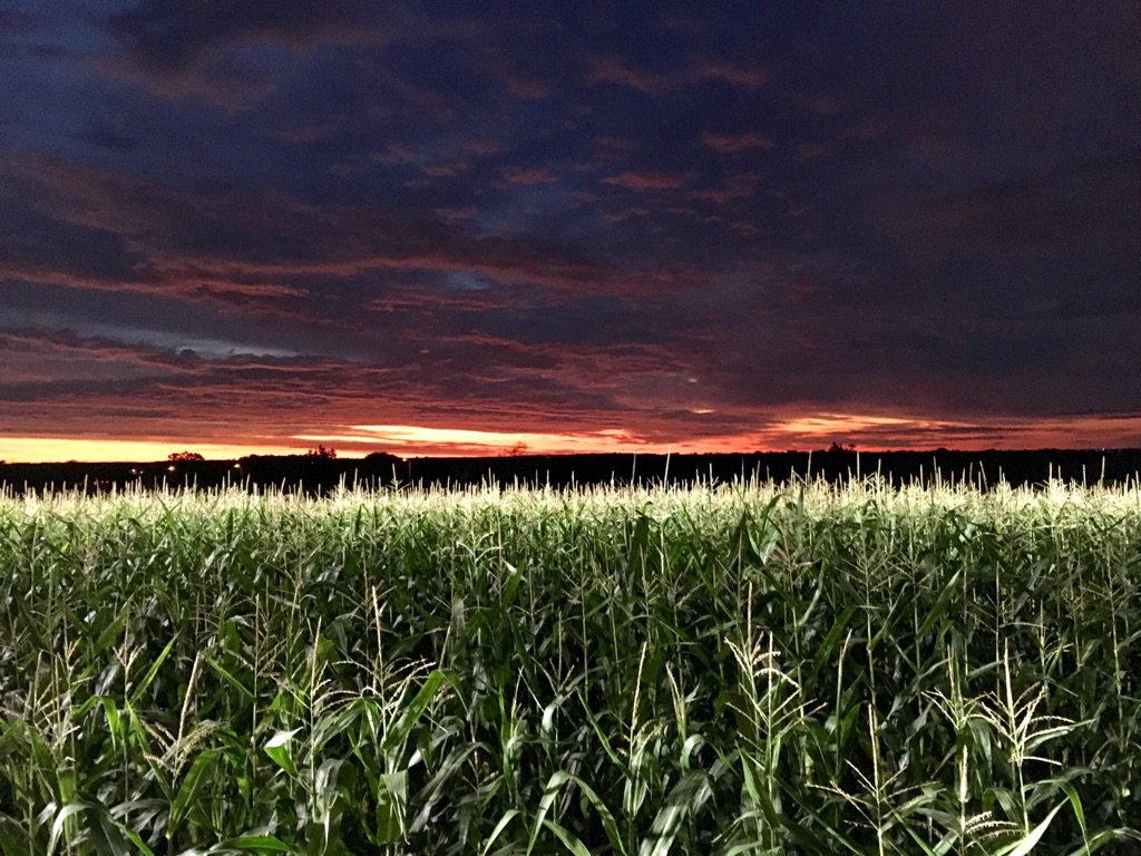 MrRickyWhittle's tweet photo. Wrapped to this beautiful sight #mothernatureisanartist 6am night shoot #AmericanGods https://t.co/pWvYxbEPi1