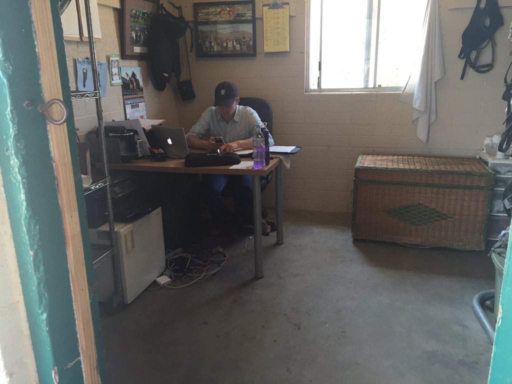 RadleyEquine's tweet photo. Radley Equines finest hard at work @dan_blacker https://t.co/ab2gEYtAkl