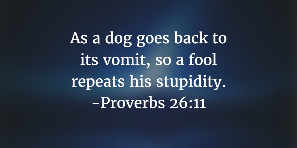 A Dog Will Always Go Back To His Vomit