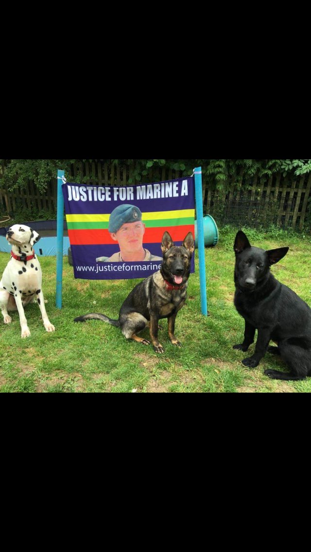 truckerfordy63's tweet photo. @justiceforBigAl @Bungy42 We r not going away @DefenceHQ @GOVUK Wake up #justiceformarinea #freein16 https://t.co/FT5upM5lPK
