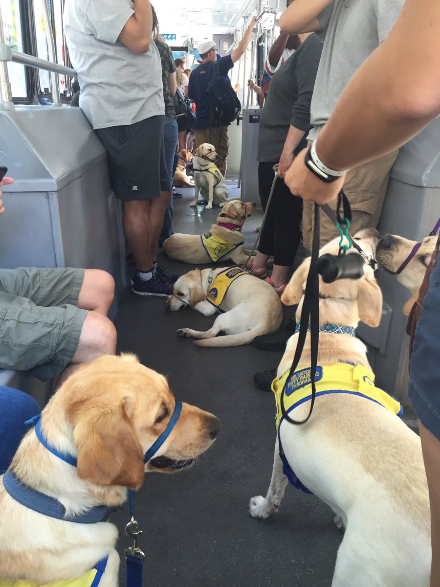 JollyCCI's tweet photo. Class today in Denver. Hated the light rail but the water was fun! https://t.co/2NtNUAhtQo