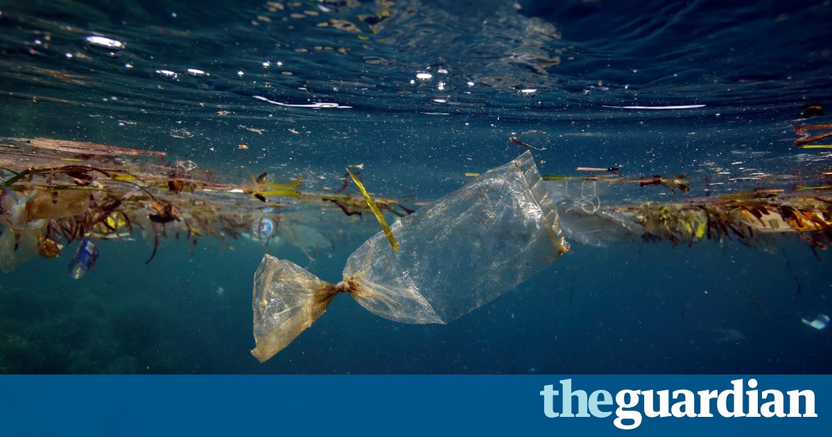 Congrats to England for the 85% drop in plastic bag usage buff.ly/2akS7yc via <a href="/Guardian/">The Guardian</a> #solutions