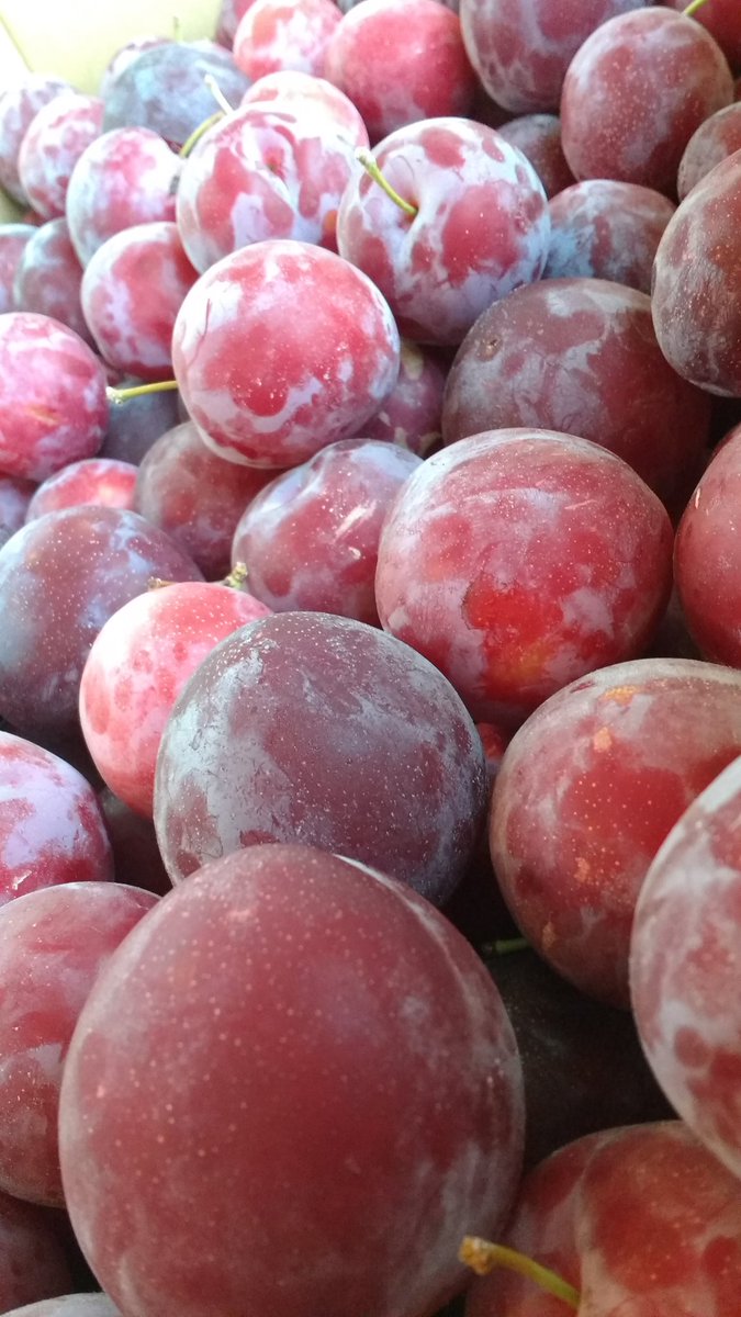 Market 17 tweet media