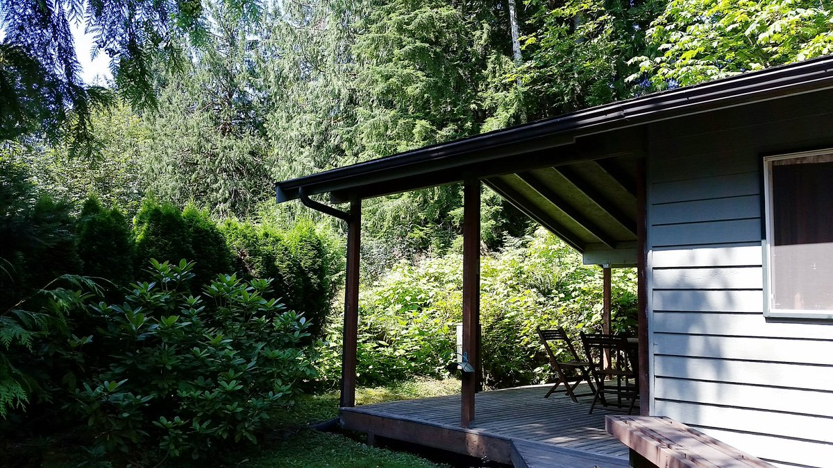 NicoleGalport's tweet photo. Husband & I rented a cabin in the woods this weekend to do our own writing retreat. #DissertationStation #PhDlife https://t.co/DXFOdl3xaj