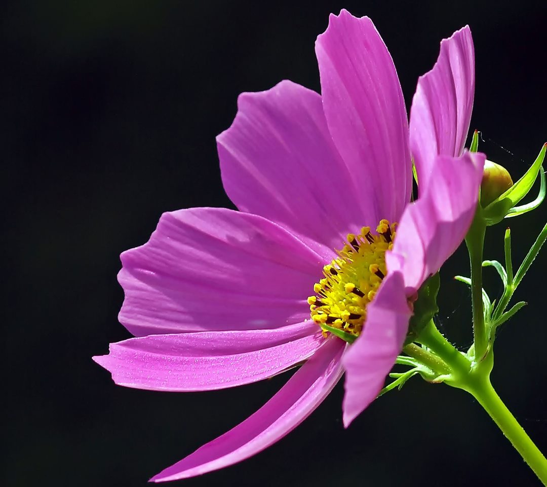 Operação beta lab! (@suelili2016) on Twitter photo 