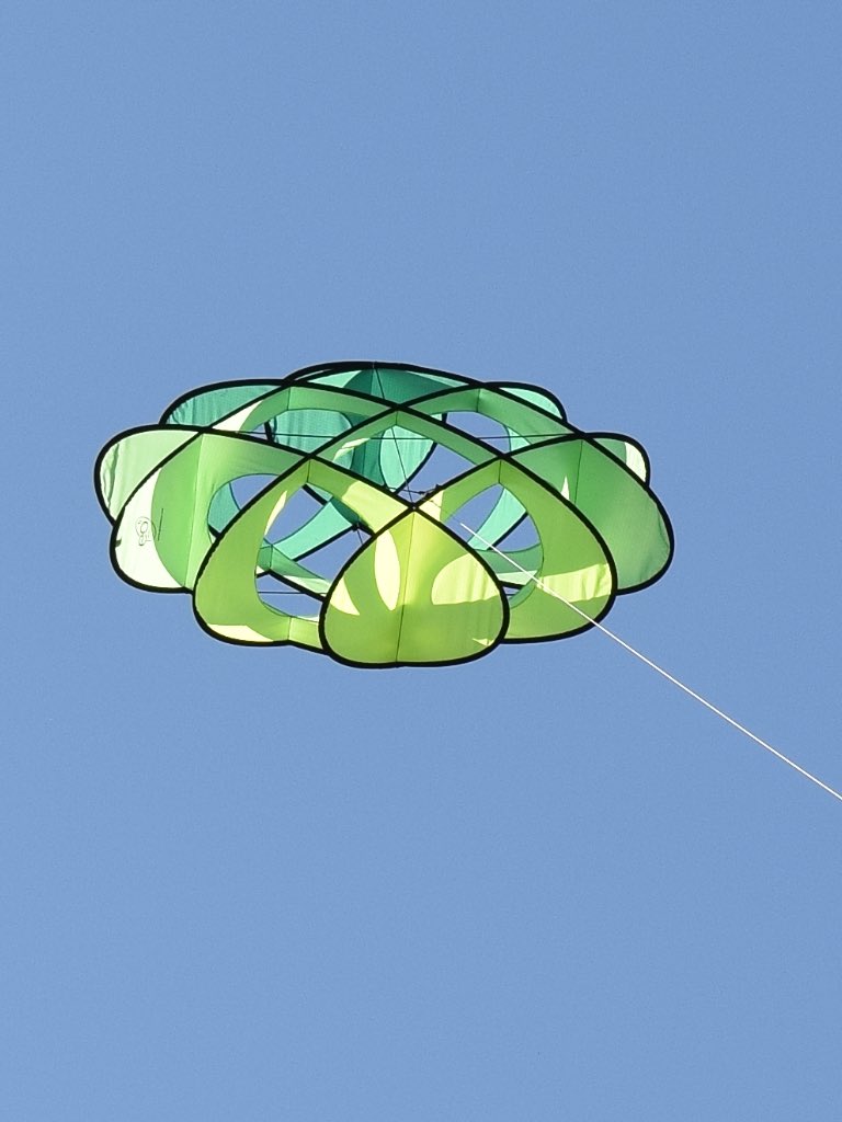 Cathy Campbell tweet media