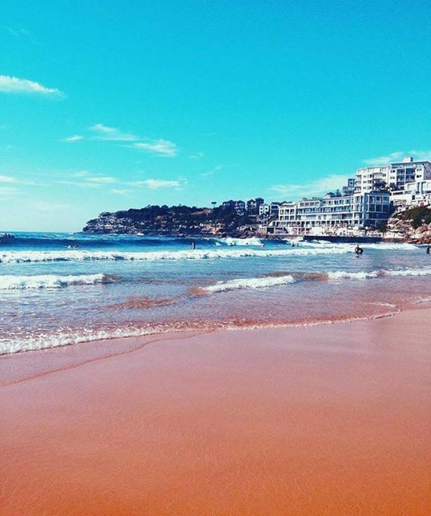 bartacolife's tweet photo. "Ah, the smell of salt and sand. There is no elixir on this earth like it." 🌊🌴☀️✌️ #bartac… https://t.co/17DIh1RYQh https://t.co/26gteQ5UOf