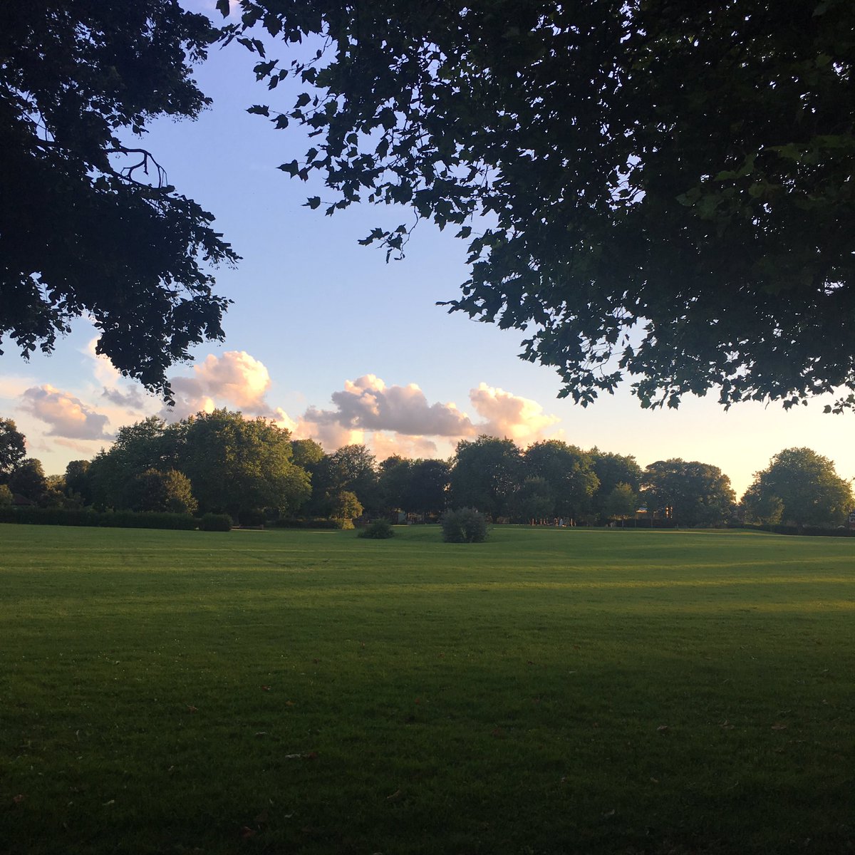 LifeInSale's tweet photo. Ashton Park looking 👌🏼 tonight. #saletown #ashtononmersey @AoM_trafford https://t.co/Y0QjD2N5ZO
