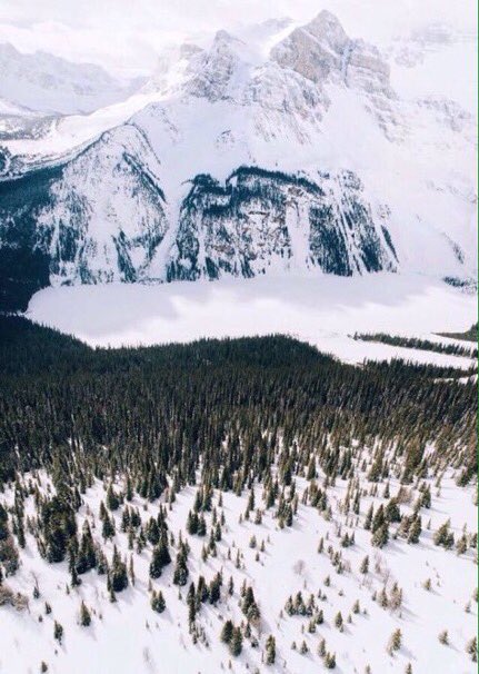 TikTonks's tweet image. Nowhere compares to the Pacific Northwest