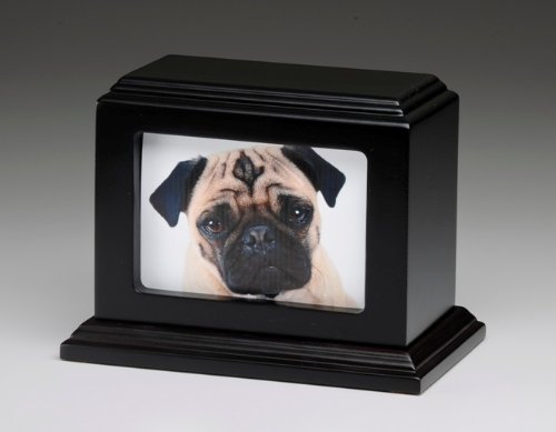 dogpointofview's tweet photo. Pet Urn Peaceful Pet Memorial Keepsake Urn,Photo Box Pet Cremation Urn,Dog… https://t.co/coyRfMxhB8 #dogspointofview https://t.co/yefoHnNs7Y