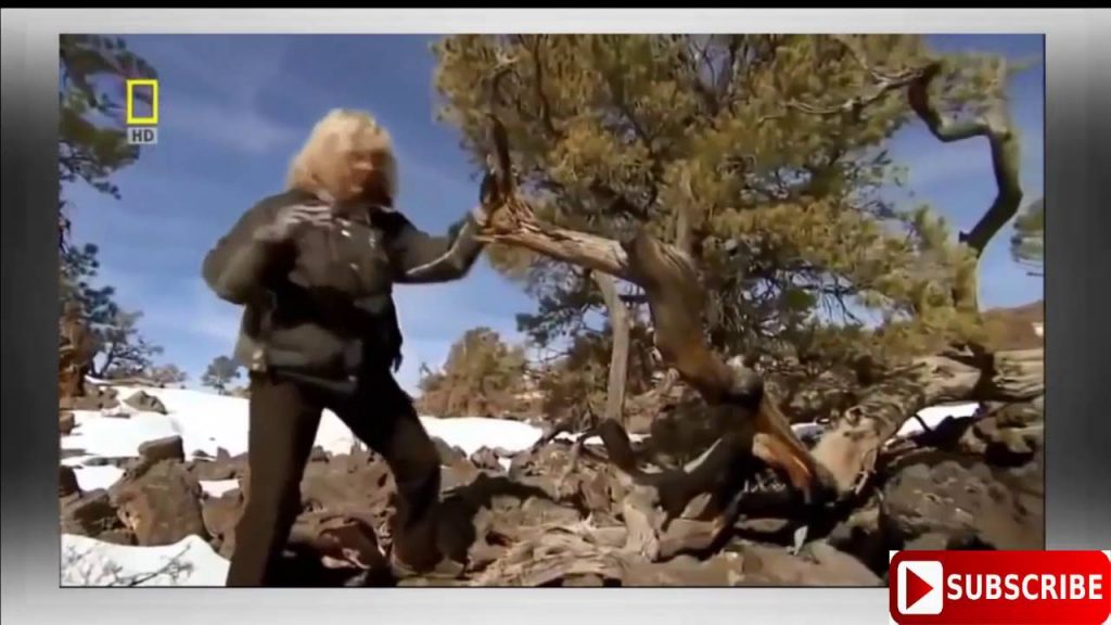 TubeFear's tweet image. #Alien Documentary - #Alien in space - feartube.com/alien-document… #Alien2016 #AlienDocumentary