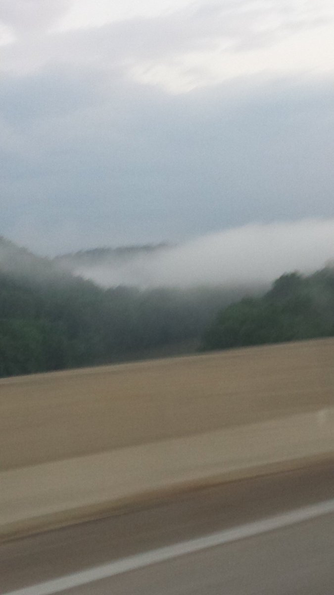 Victoria A. Casey tweet media