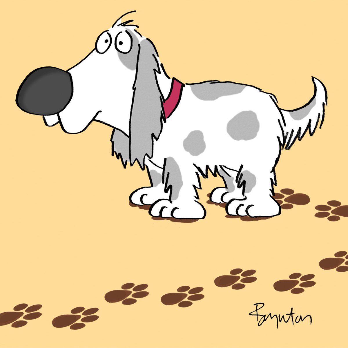 SandyBoynton's tweet photo. July 31 is National Mutt Day. The best dog in the world is the one you have. #NationalMuttDay https://t.co/fO8eXSnmNm