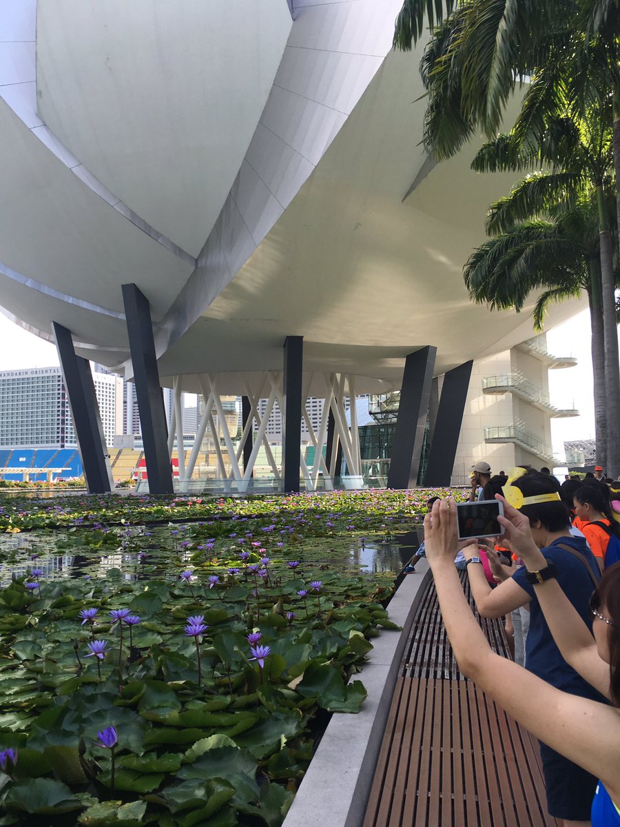 marinabaysands's tweet photo. Get snapping at #ComChest #HeartstringsWalk2016 Instagram Scavenger Hunt! https://t.co/fwoLTjM58y #SandsForSingapore https://t.co/IMI0B02pN8