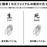 セミファイナルｗセミが死んだかどうか見分ける方法が役立つ!