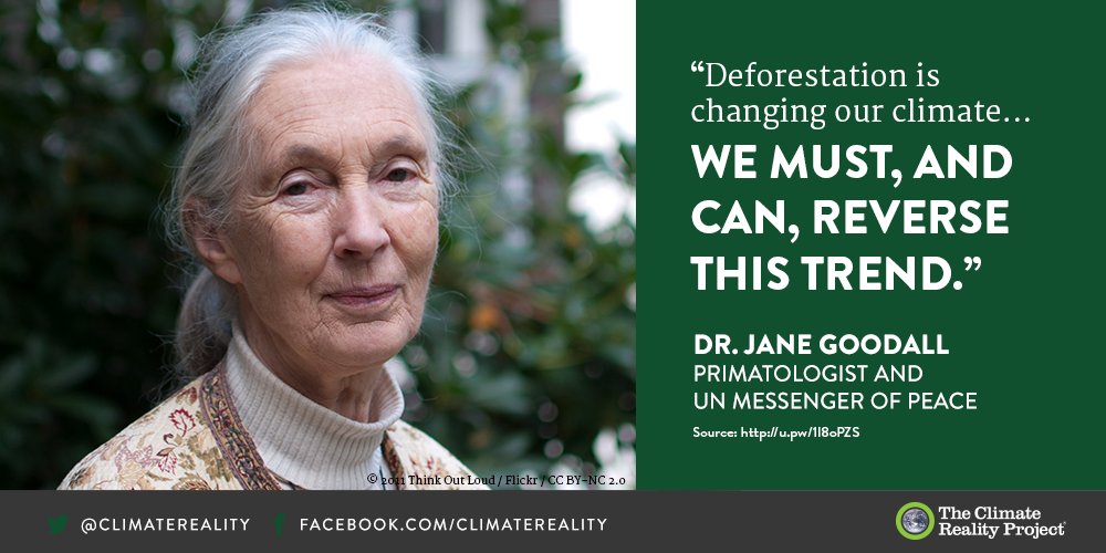ClimateReality's tweet photo. It’s time to stop monkeying around on climate change. Retweet if you agree with Dr. Goodall! #ActOnClimate https://t.co/eOPraG574K
