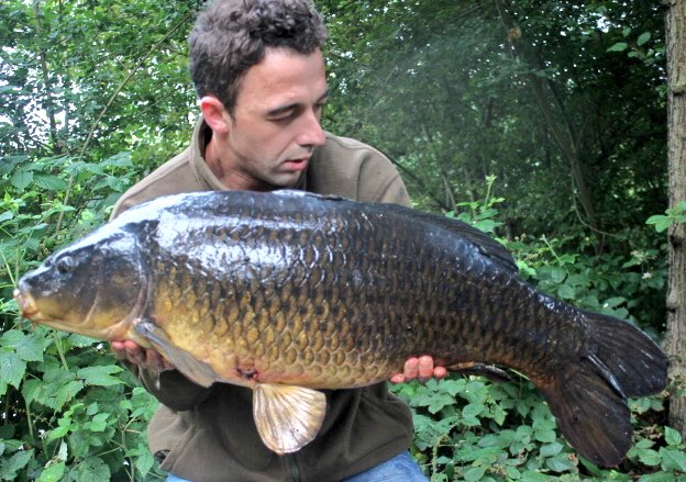 BenRandall999's tweet photo. Thursday night got out for an overnighter. End up with is one. #classicbaits #nutz #splitlake #YWF #oldcommon https://t.co/1k3sJRAjWM