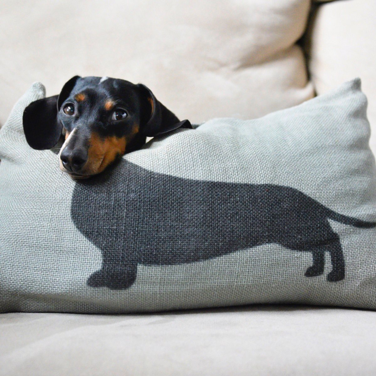 harlowandsage's tweet photo. Body Pillow https://t.co/alAI5rCBUX