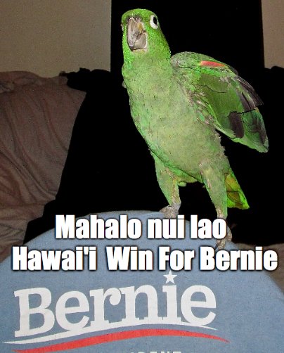 aerwaves_'s tweet photo. @janeosanders All Our Love To You &amp; Bernie💯. #OurRevolutionContinues #Midler4Bernie ☮❤️☮💕☮💙☮💞☮💚☮💗☮❤️☮💓☮❤️☮💖☮❤️🌊🌊🌊🌊 https://t.co/iy0pPMMzYv