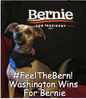 aerwaves_'s tweet photo. @janeosanders All Our Love To You &amp; Bernie💯. #OurRevolutionContinues #Midler4Bernie ☮❤️☮💕☮💙☮💞☮💚☮💗☮❤️☮💓☮❤️☮💖☮❤️🌊🌊🌊🌊 https://t.co/iy0pPMMzYv