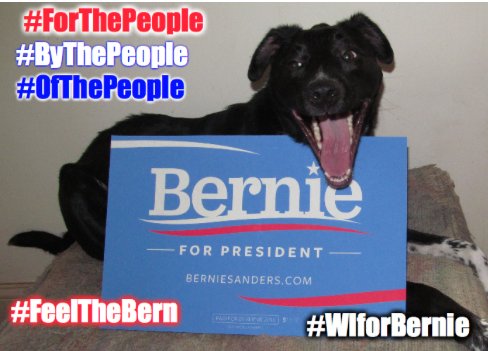 aerwaves_'s tweet photo. @janeosanders All Our Love To You &amp; Bernie💯. #OurRevolutionContinues #Midler4Bernie ☮❤️☮💕☮💙☮💞☮💚☮💗☮❤️☮💓☮❤️☮💖☮❤️🌊🌊🌊🌊 https://t.co/iy0pPMMzYv