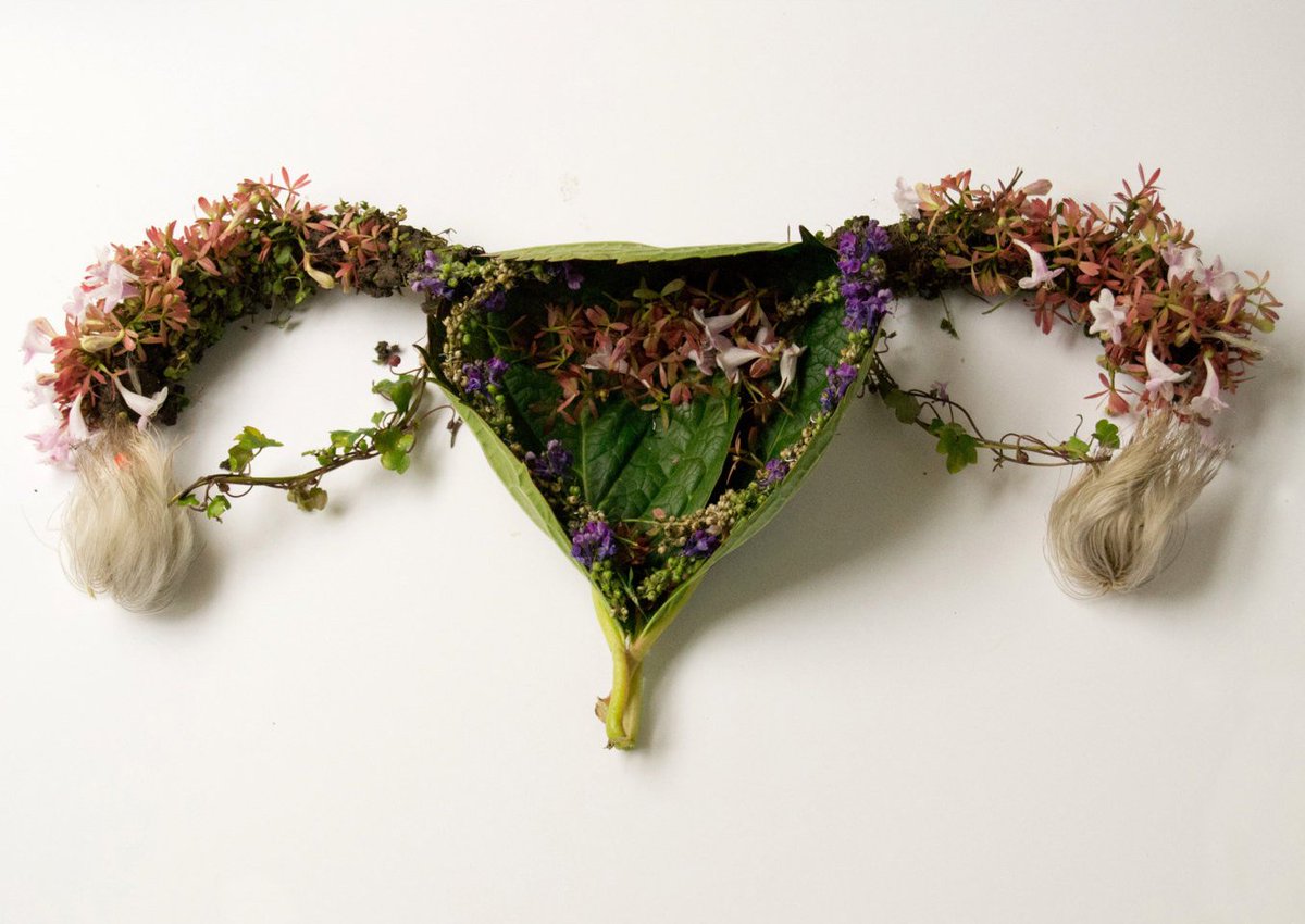 simonexpratesi's tweet photo. Camila Carlow sculpts human organs https://t.co/hP9Rfw0bOa https://t.co/sUXzitAJRx