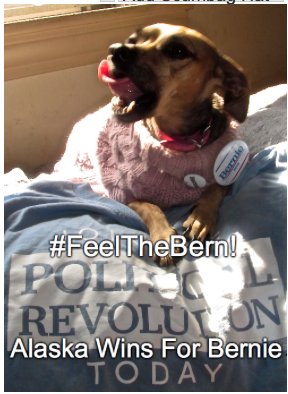 aerwaves_'s tweet photo. @janeosanders Much Love And Eternal Respect To You &amp; @BernieSanders #United #OurRevolution &amp; It Grows
#Midler4Bernie https://t.co/aBkbnUbJKK