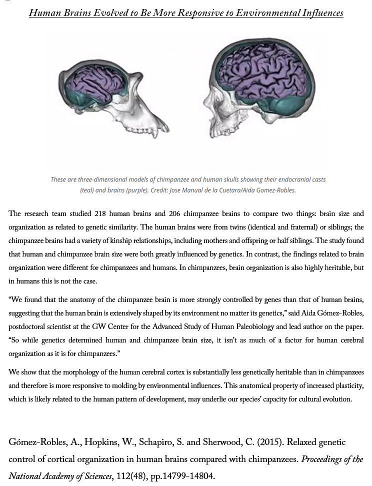 DannyDPurb's tweet photo. #Human #Brains Evolved to Be More #Responsive to #EnvironmentalInfluences
#Evolution #Mind https://t.co/qneW0YZAW5 https://t.co/SrNmhaKTpD