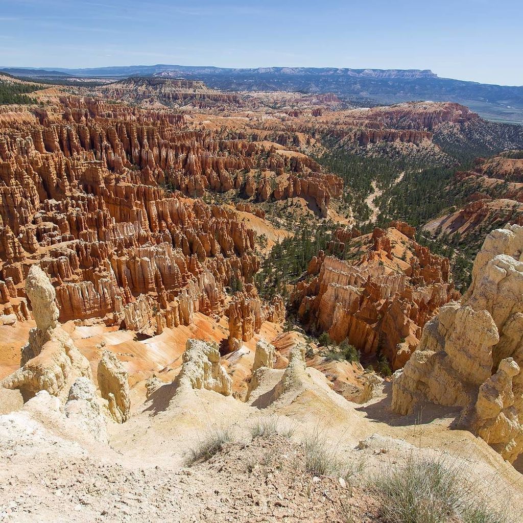 ftavard's tweet photo. Bryce canyon NP as seen from sunrise point #roadtripusa #brycecanyonnationalpark #brycecan… https://t.co/vSxh8QVcbC https://t.co/X8WEp7M26b