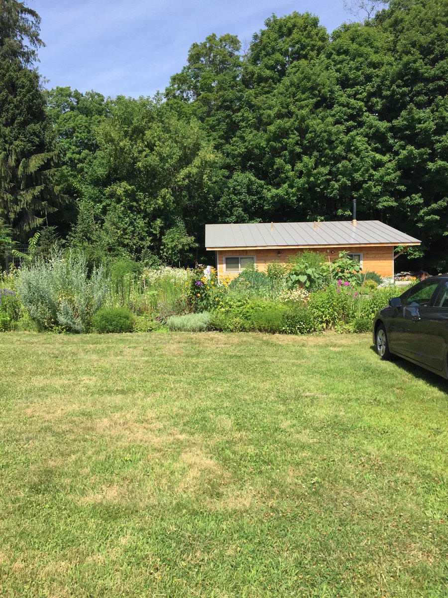 Stephen McCauley tweet media