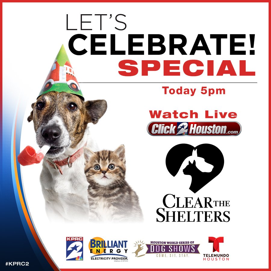 WATCH LIVE ON KPRC2 & now! ClearTheShelters special KPRC 2 Houston Scoopnest