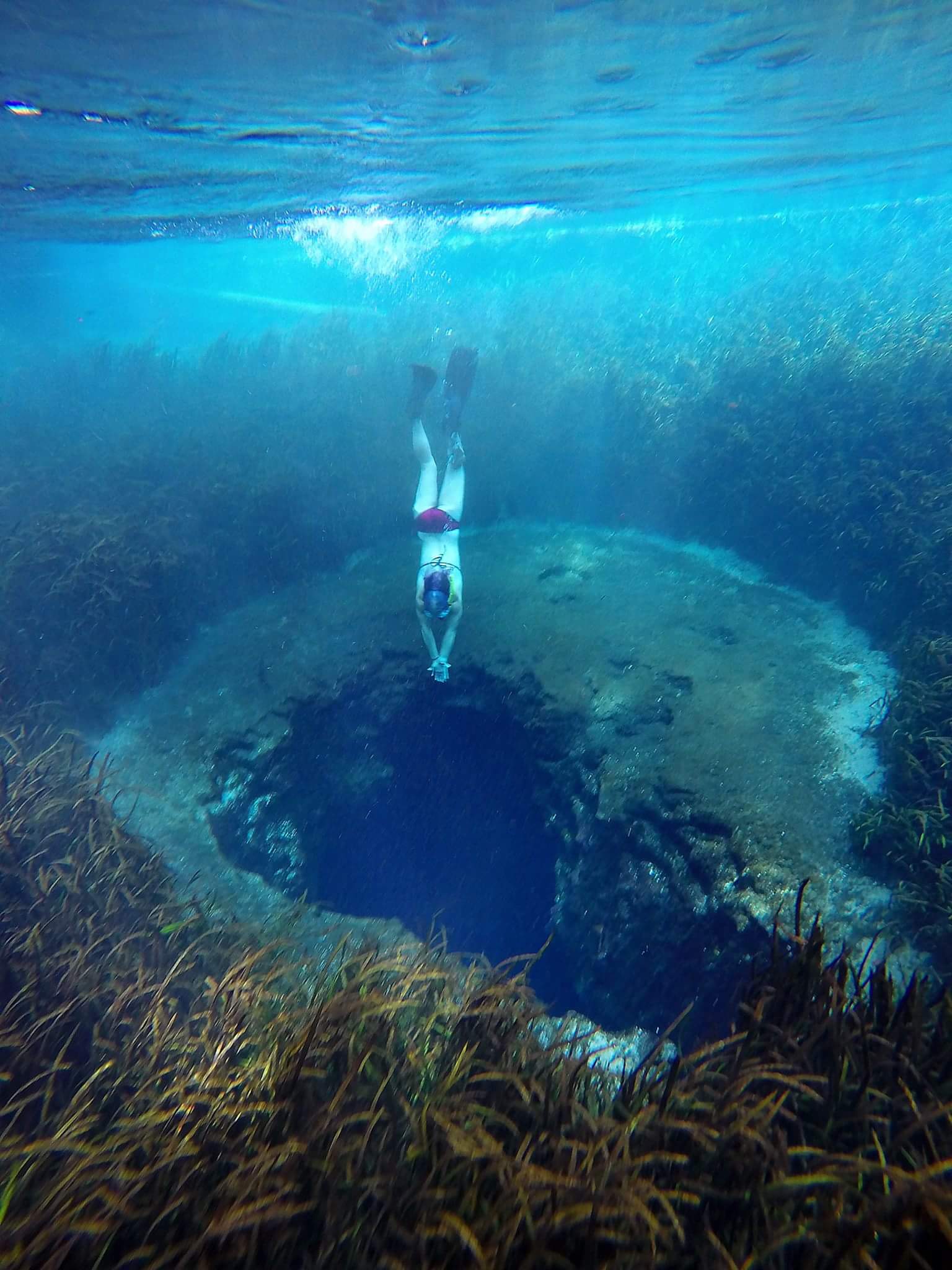 Blue Hole Spring Florida - CopSgEsWcAA G1S Large